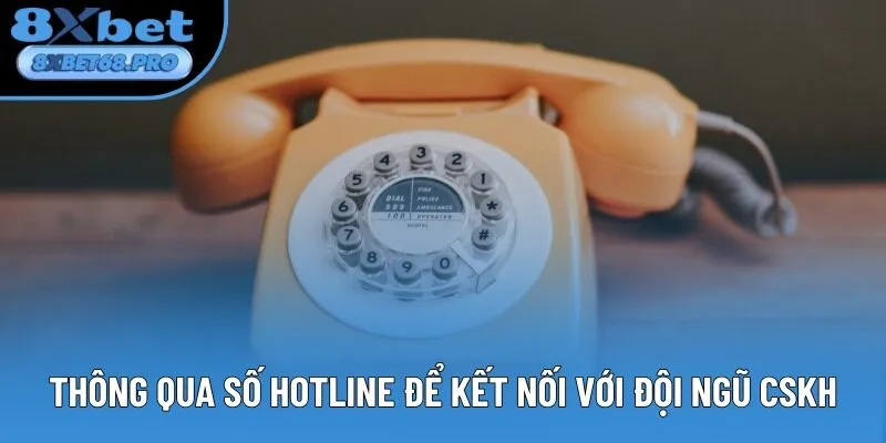 Thông qua số hotline để kết nối với đội ngũ CSKH